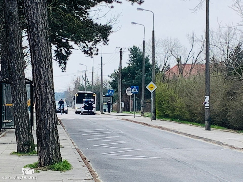Toruń: policja zatrzymała autobus MZK!