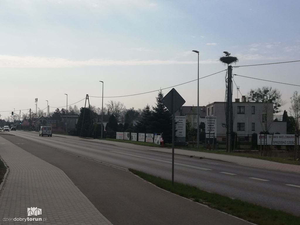 Bociany powróciły do gniazda w Kaszczorku