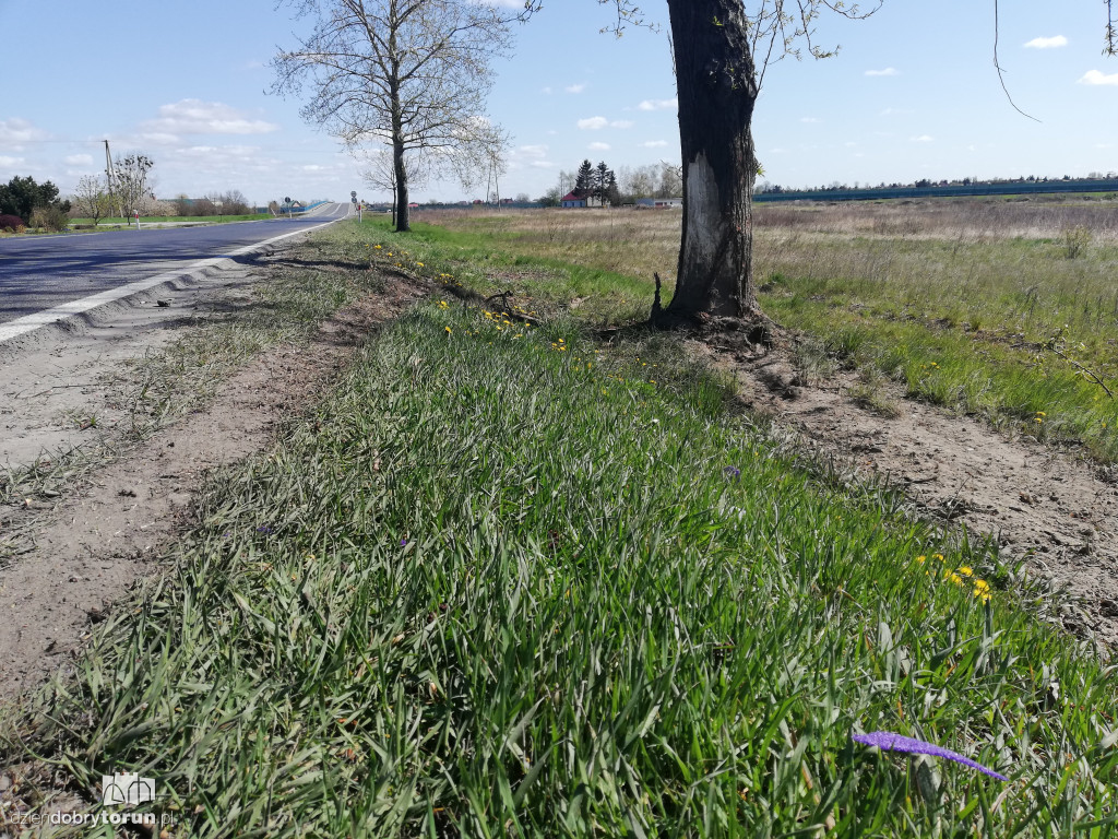 Tragiczny wypadek w Rogówku