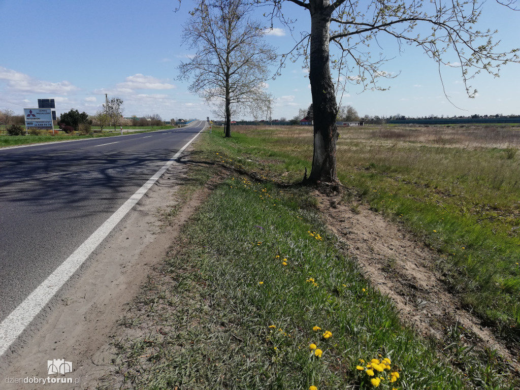 Tragiczny wypadek w Rogówku