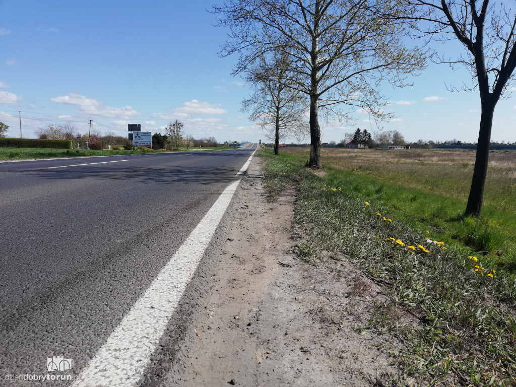 Tragiczny wypadek w Rogówku