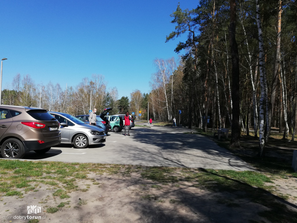 Torunianie masowo ruszyli do lasów