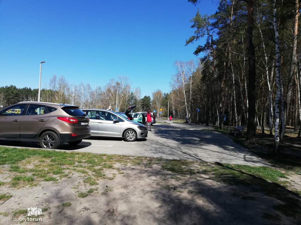 Torunianie masowo ruszyli do lasów