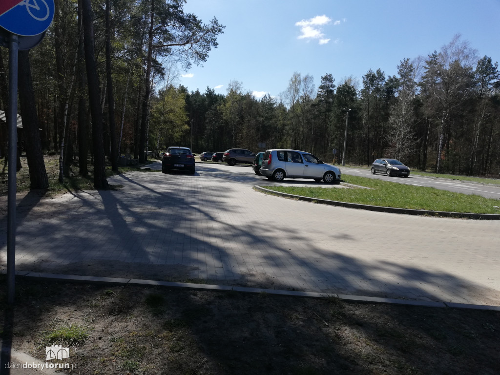Torunianie masowo ruszyli do lasów
