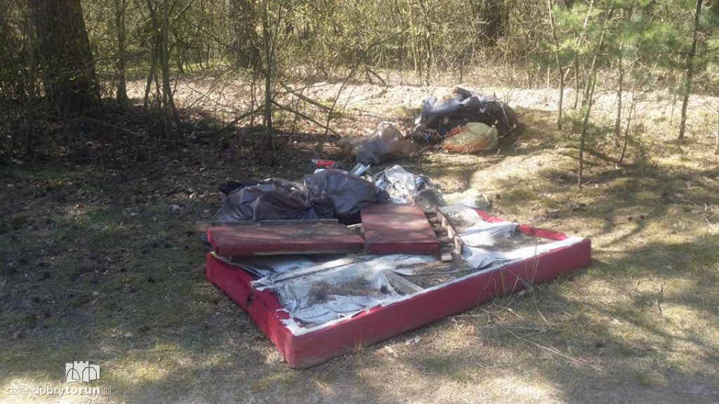 Śmieci zalegające w różnych częściach miasta