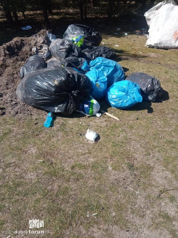 Śmieci zalegające w różnych częściach miasta