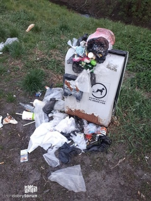 Śmieci zalegające w różnych częściach miasta