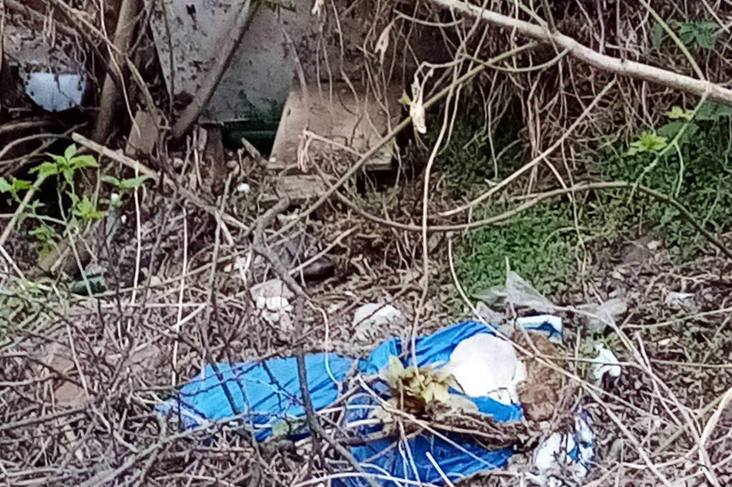 Toruń: śmieci niedaleko Wisły