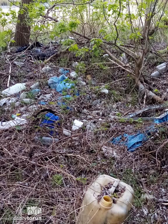 Toruń: śmieci niedaleko Wisły
