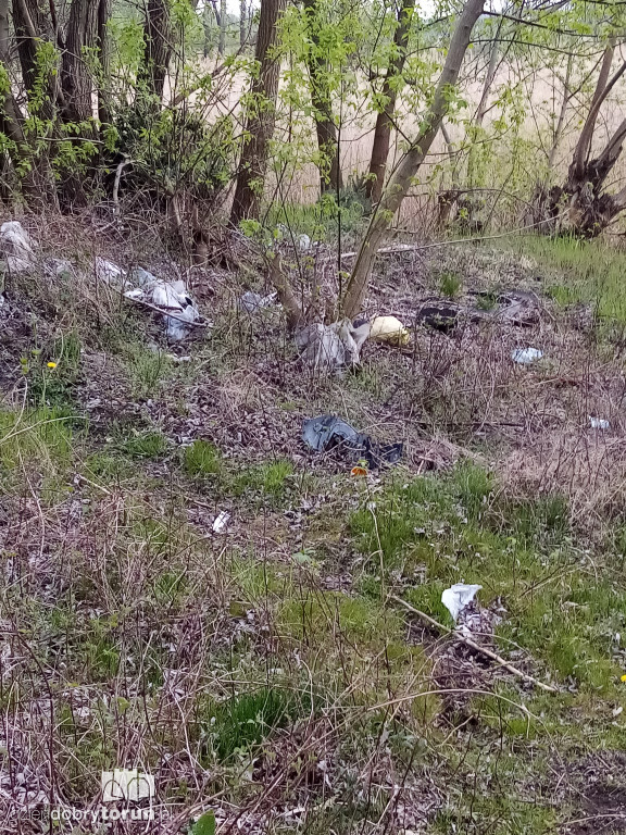 Toruń: śmieci niedaleko Wisły