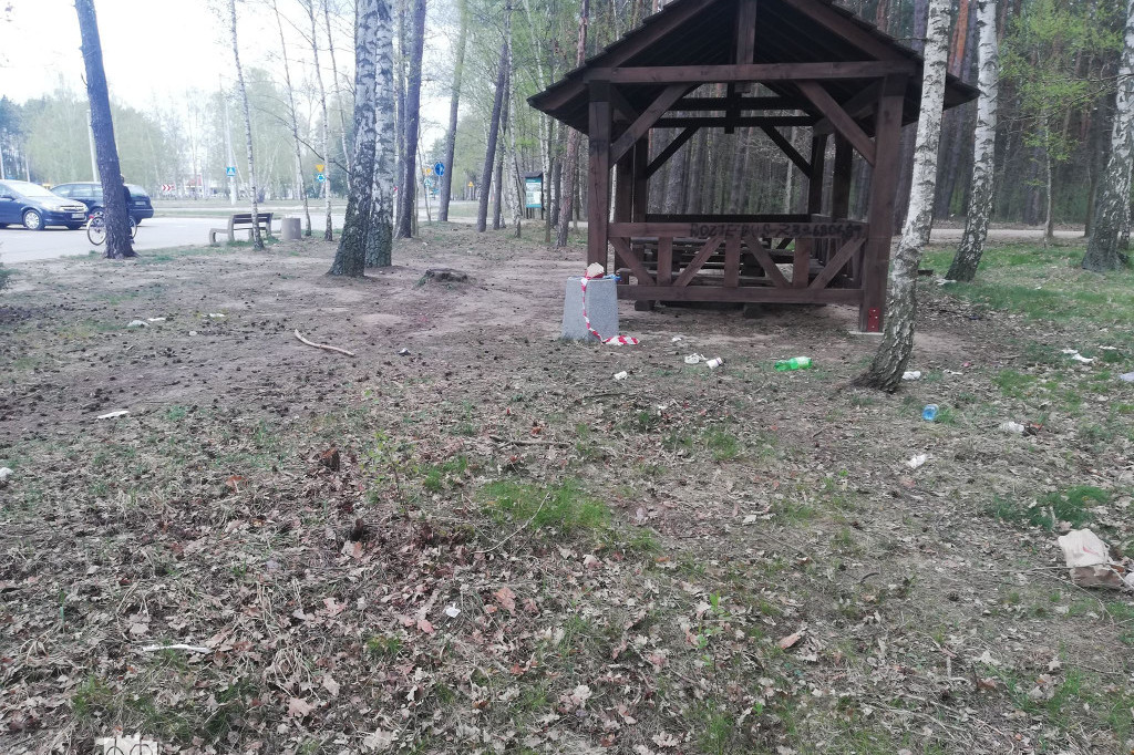 Zaśmiecone tereny leśne przez mieszkańców