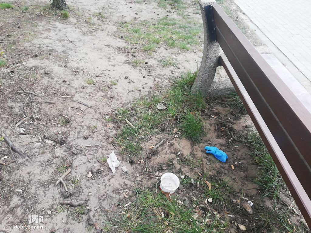 Zaśmiecone tereny leśne przez mieszkańców