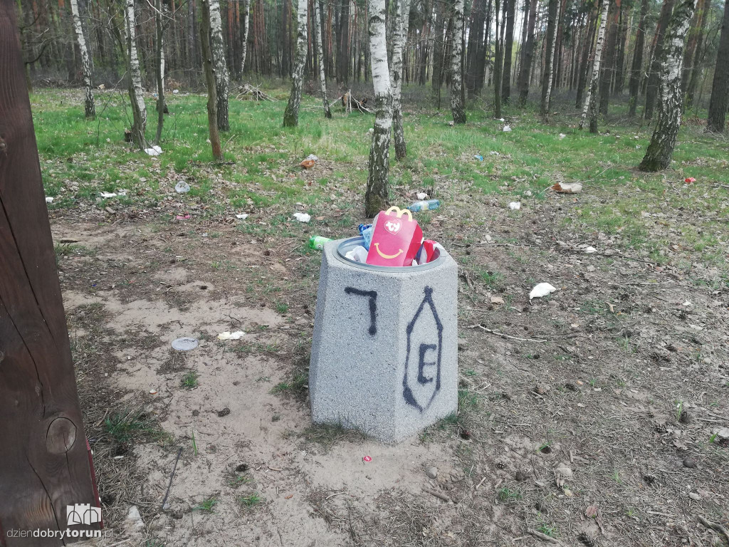 Zaśmiecone tereny leśne przez mieszkańców