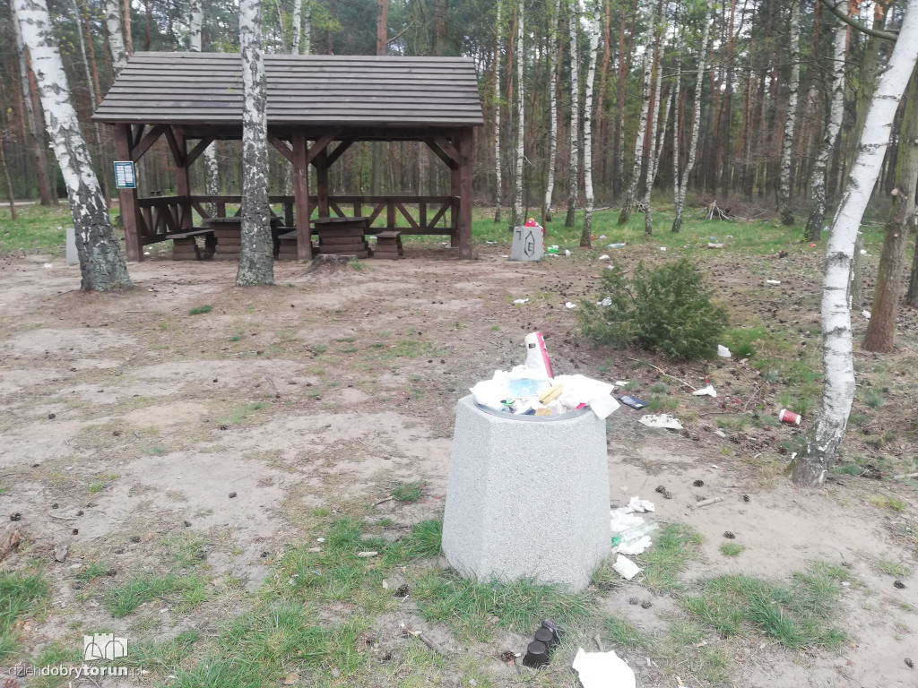 Zaśmiecone tereny leśne przez mieszkańców
