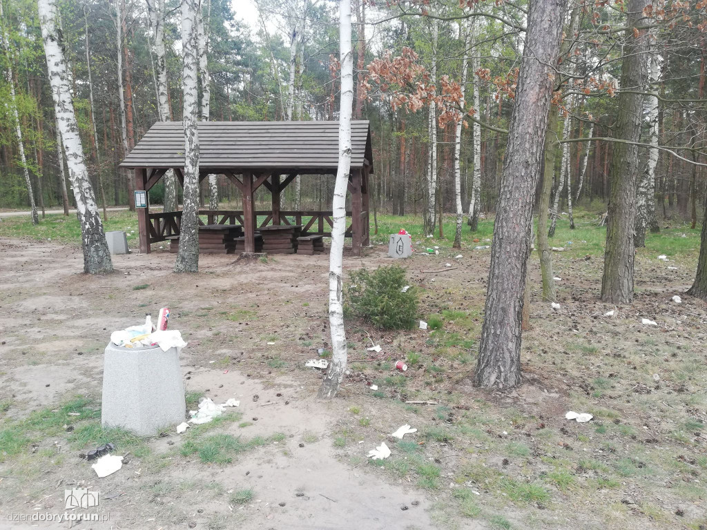 Zaśmiecone tereny leśne przez mieszkańców