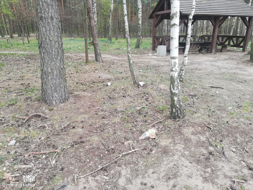 Zaśmiecone tereny leśne przez mieszkańców