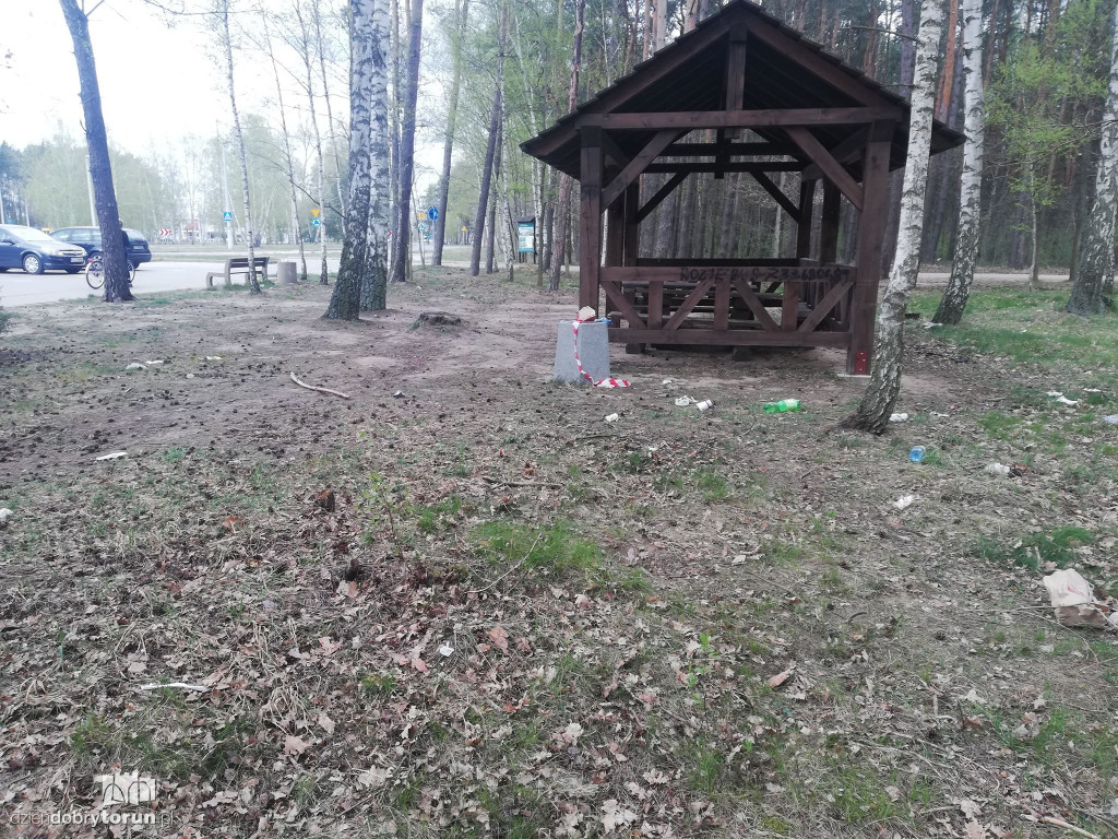 Zaśmiecone tereny leśne przez mieszkańców