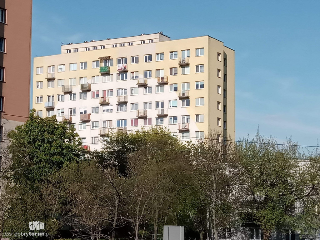 Torunianie wspierają A. Dudę na... balkonach