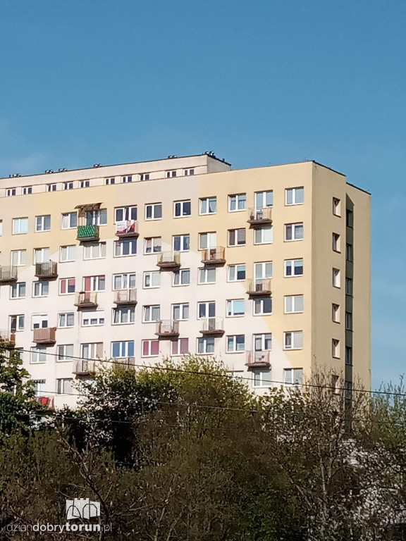 Torunianie wspierają A. Dudę na... balkonach