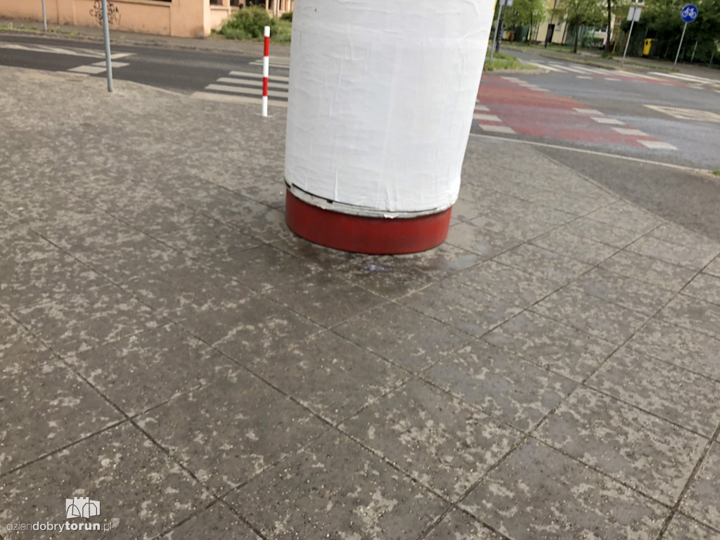 Toruń: zerwano plakaty Krzysztofa Bosaka?