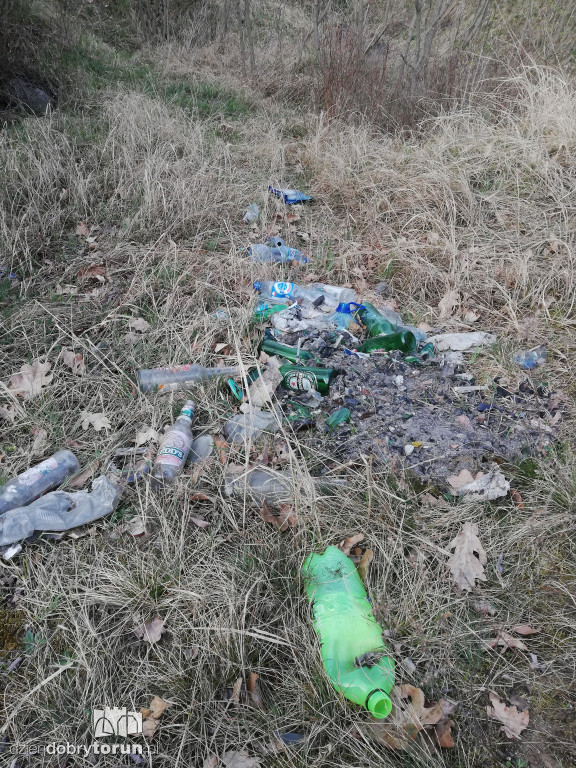 Zaśmiecone tereny przy ul. Bielańskiej i strudze