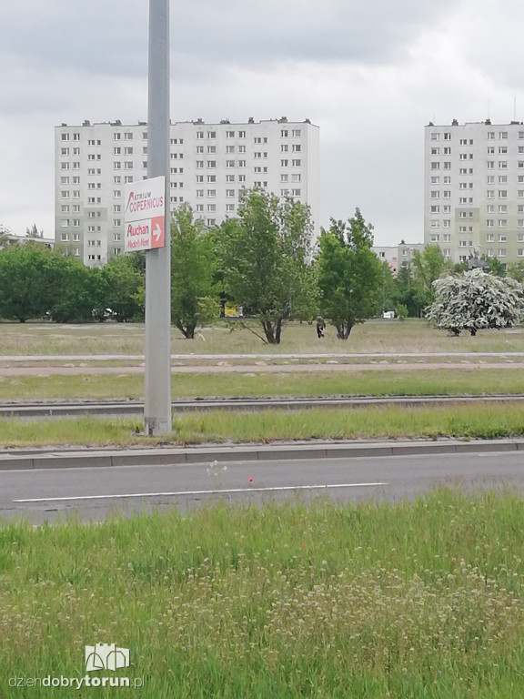 Przechodzenie 'na dziko' przy Olsztyńskiej