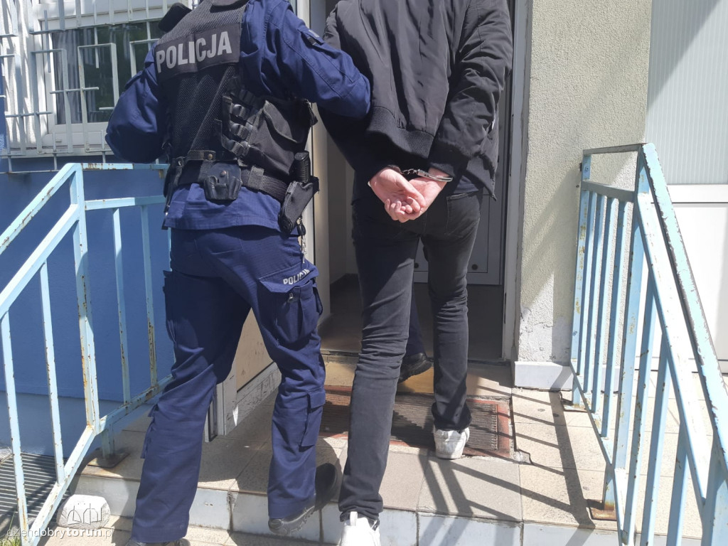 Wandale w rękach toruńskiej policji