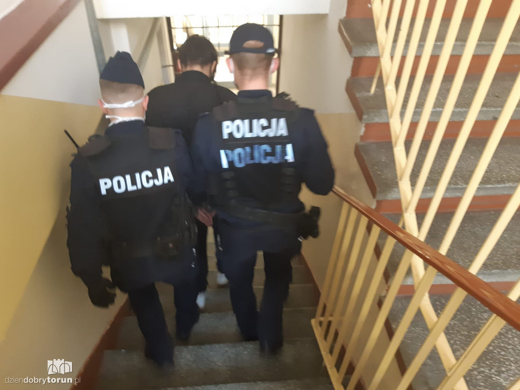 Wandale w rękach toruńskiej policji