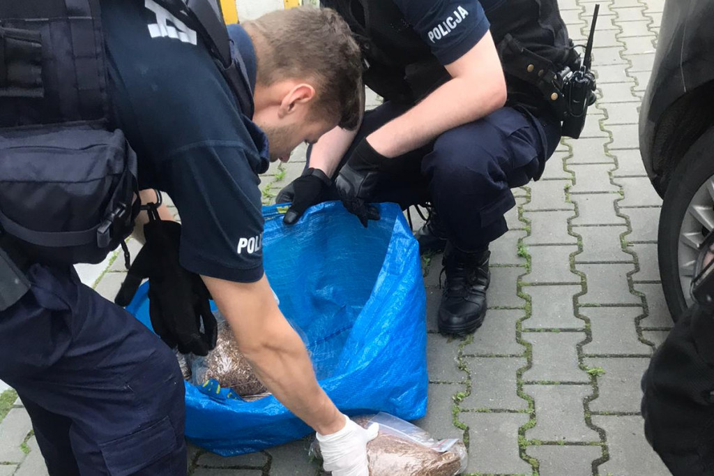 Toruń: policja zabezpieczyła nielegalny towar