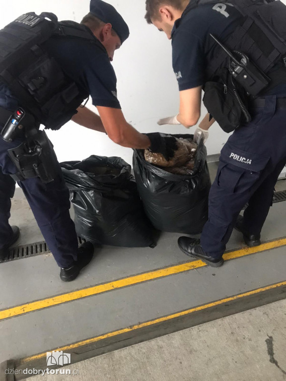 Toruń: policja zabezpieczyła nielegalny towar