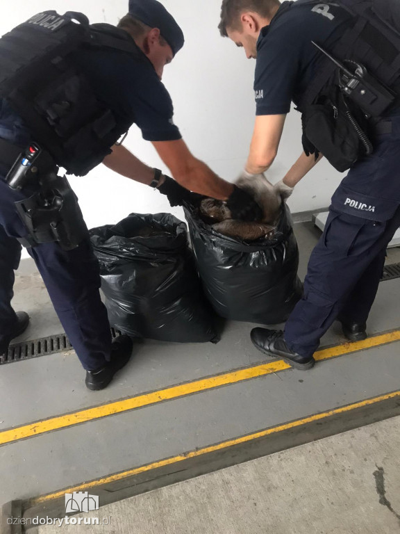 Toruń: policja zabezpieczyła nielegalny towar