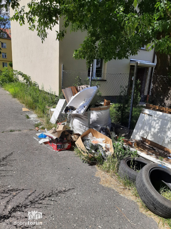 Dzikie wysypisko przy ul. Reja