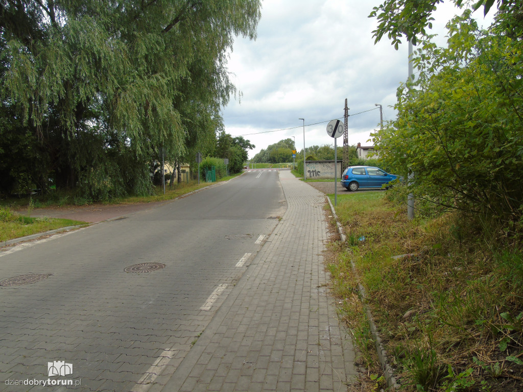 Kto uporządkuje krowi mostek?