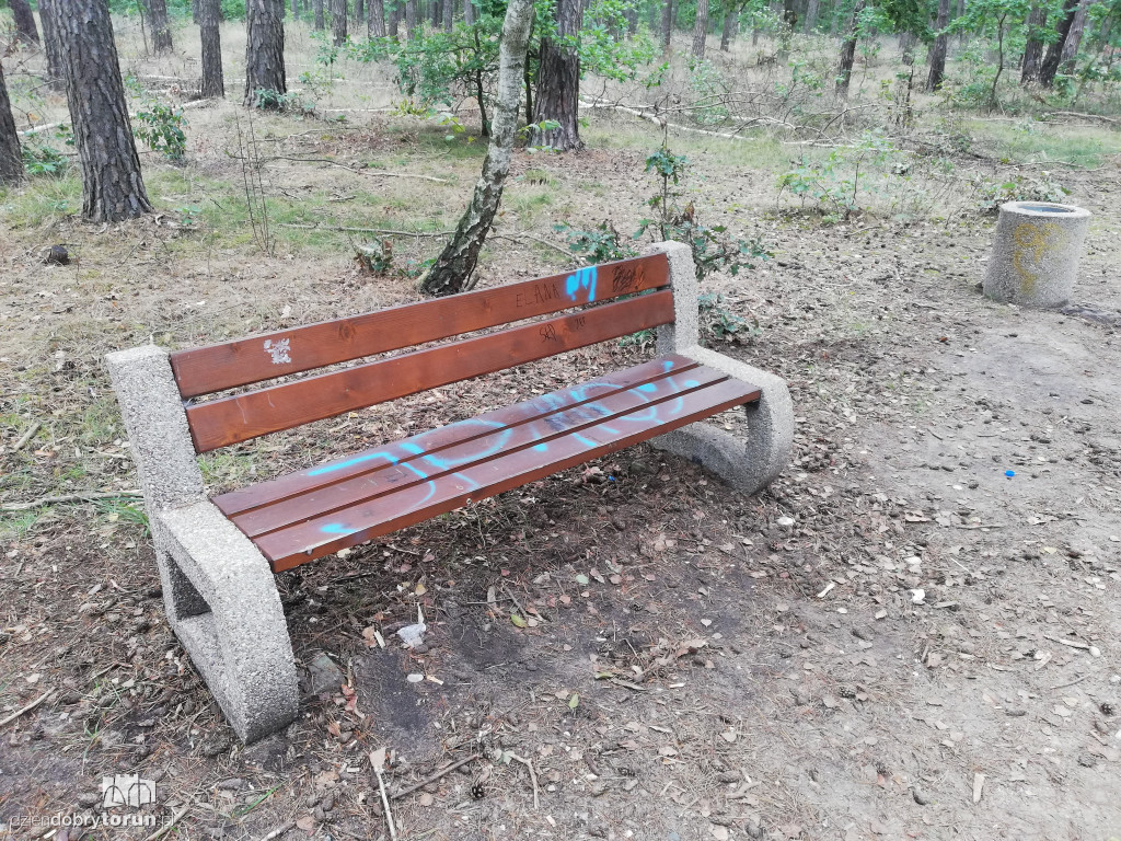 Zniszczona ścieżka w lasku na Skarpie