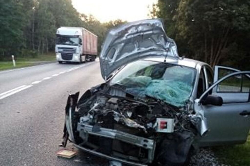 Fatalne zdarzenia na DK10 w pobliżu Torunia