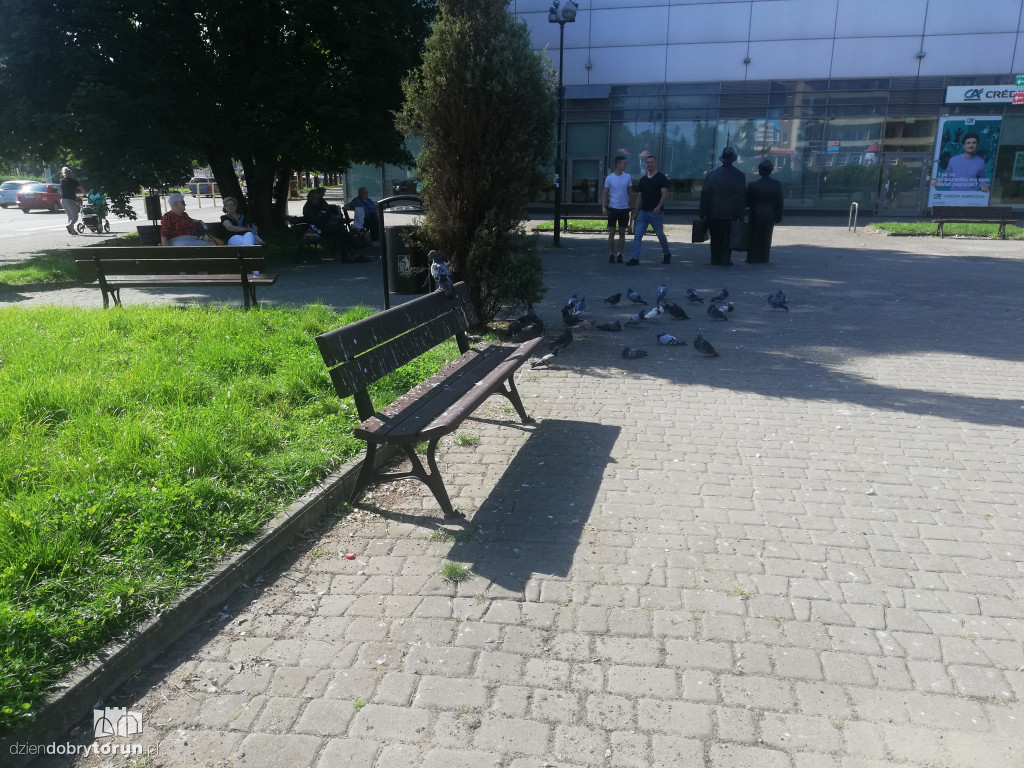 Skwer przy Cinema City w opłakanym stanie