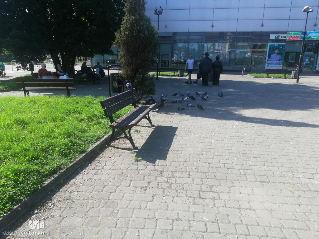 Skwer przy Cinema City w opłakanym stanie