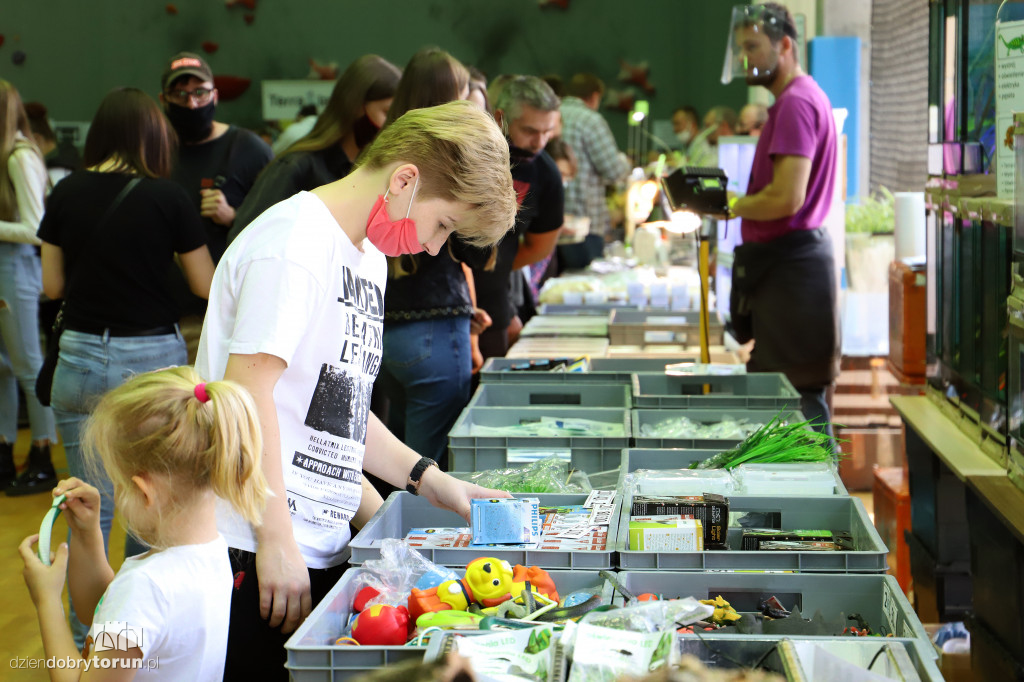 Toruńskie targi terrarystyczne
