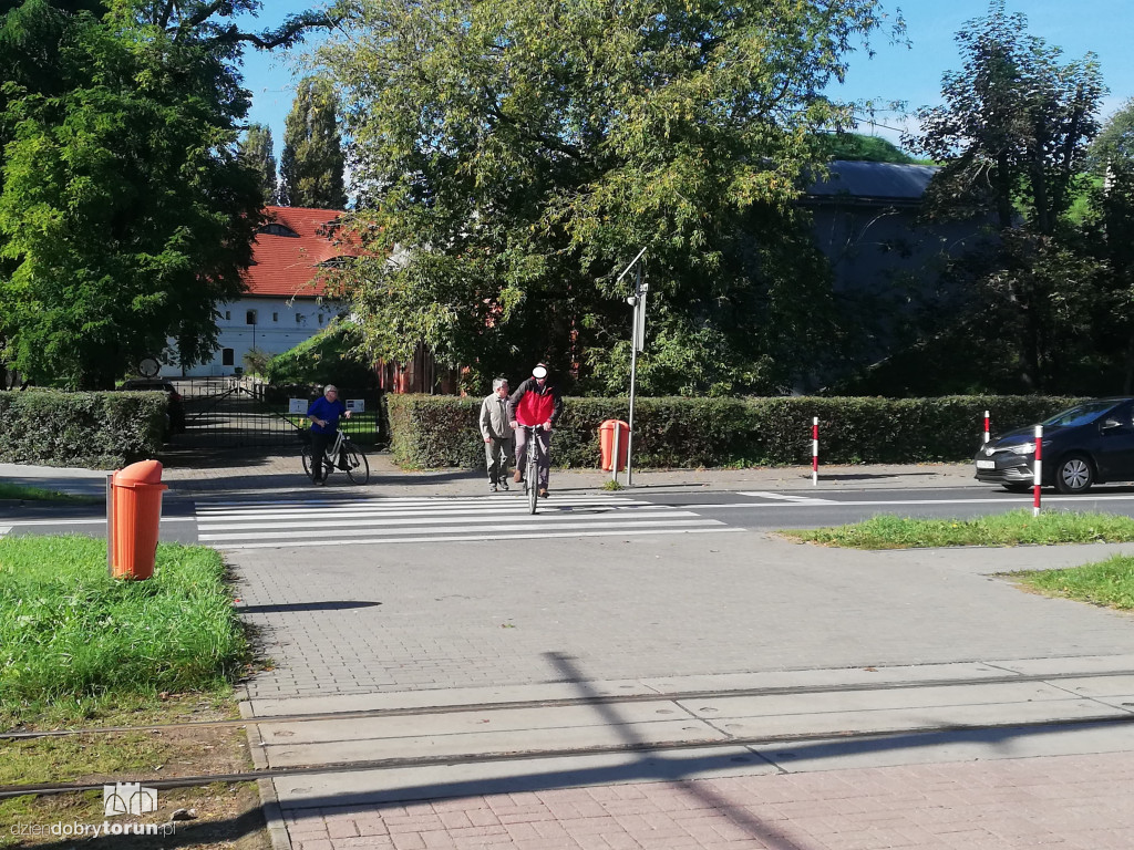 Rowerzyści na ulicach Torunia