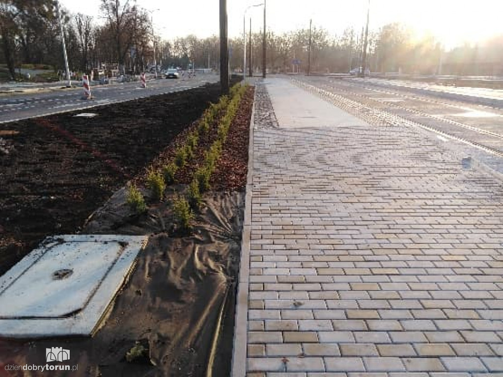 Toruń: prace na placu Rapackiego