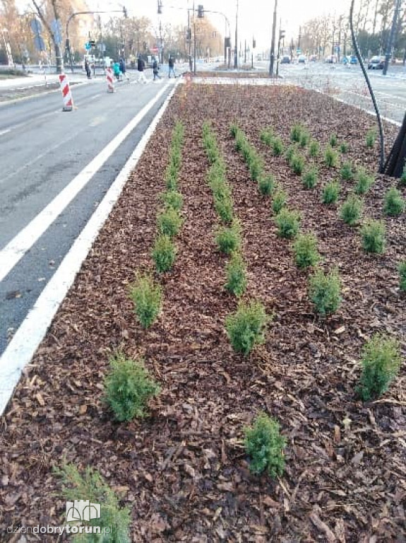 Toruń: prace na placu Rapackiego