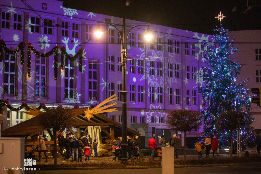 Toruń: choinka stanęła przed urzędem