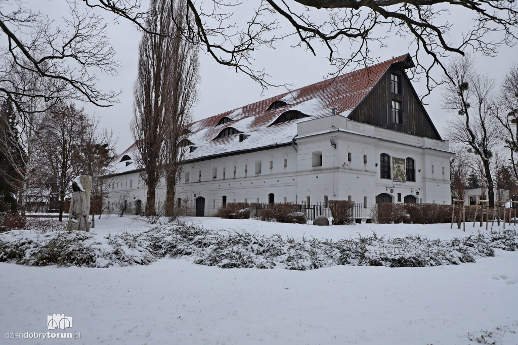 Toruń w zimowej odsłonie