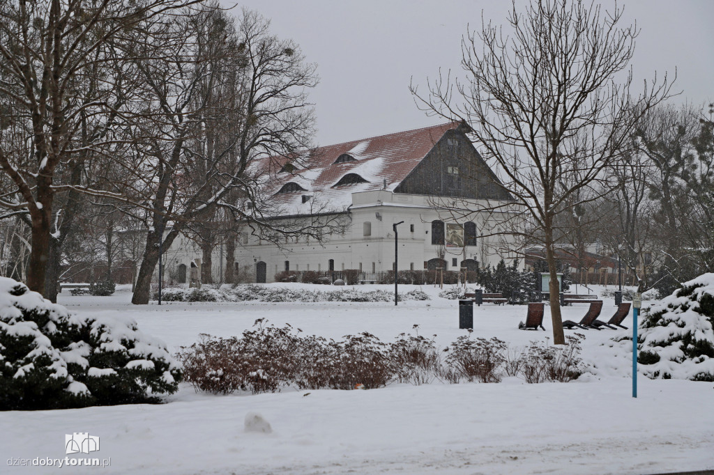 Toruń w zimowej odsłonie