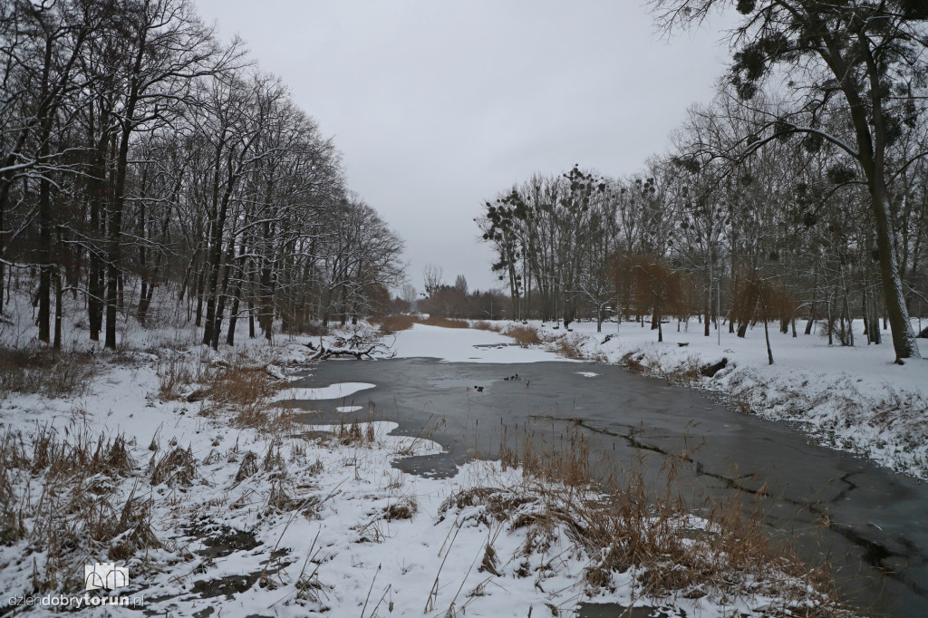 Toruń w zimowej odsłonie