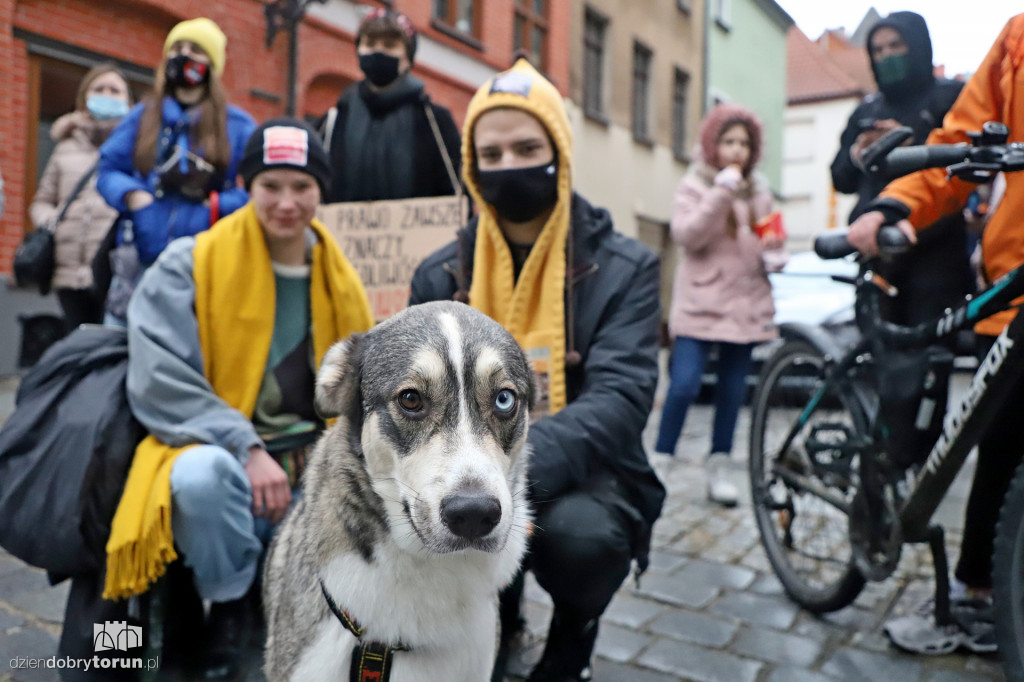 Spacer śladami Toruńskich Kobiet