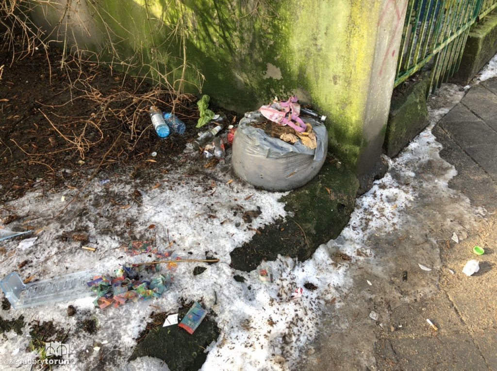 Toruń: śmieci na Bydgoskim Przedmieściu