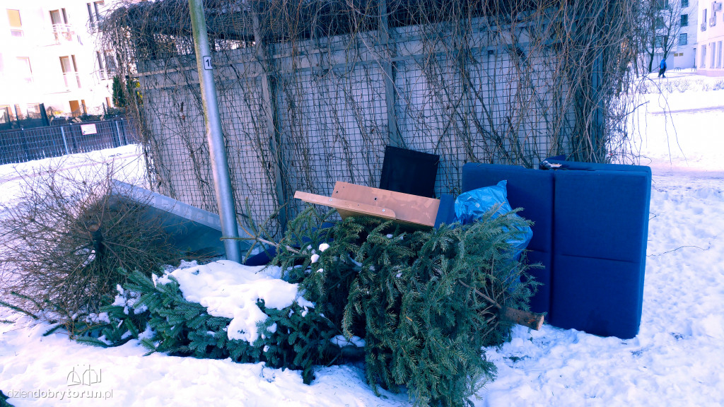 Toruń: śmieci na osiedlu Sztuk Pięknych