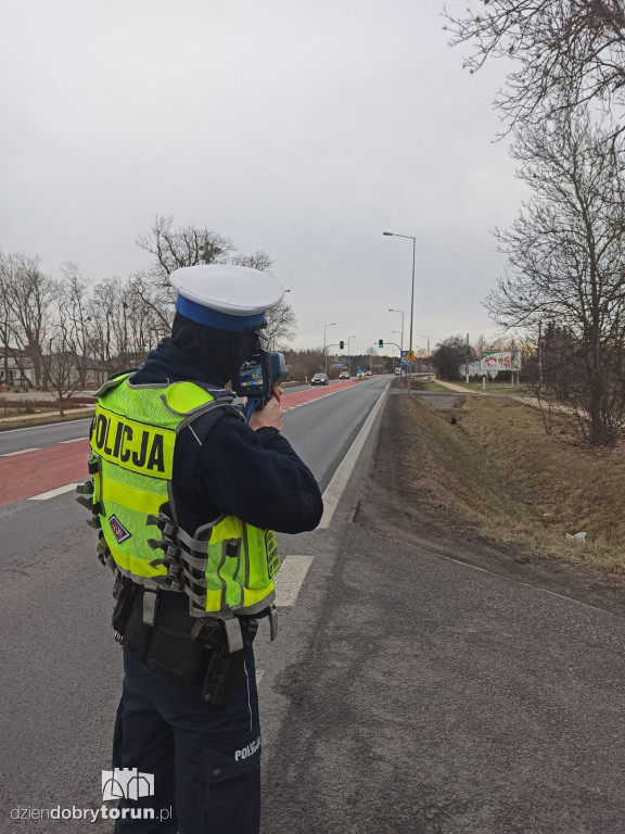 Toruń: łamali przepisy, zostali ukarani