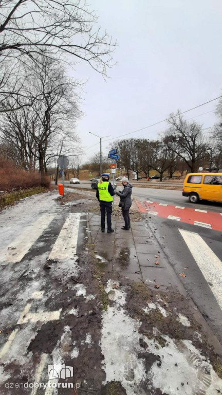 Toruń: łamali przepisy, zostali ukarani